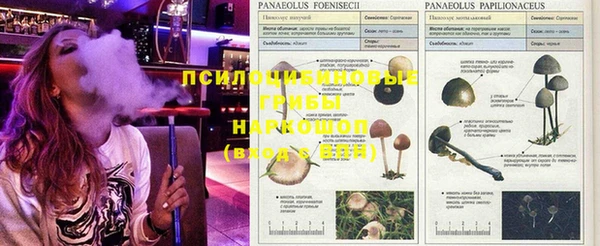 хмурый Белоозёрский