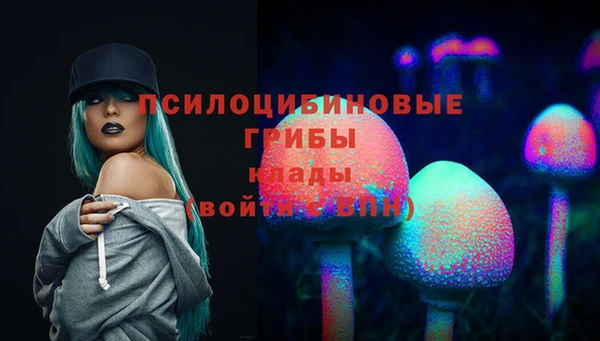 хмурый Белоозёрский