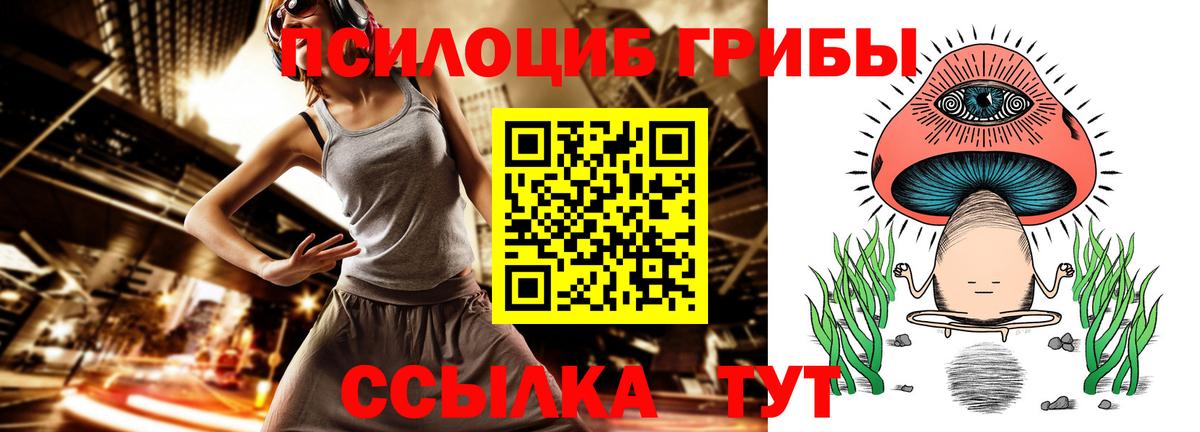Псилоцибиновые грибы Cubensis Буйнакск
