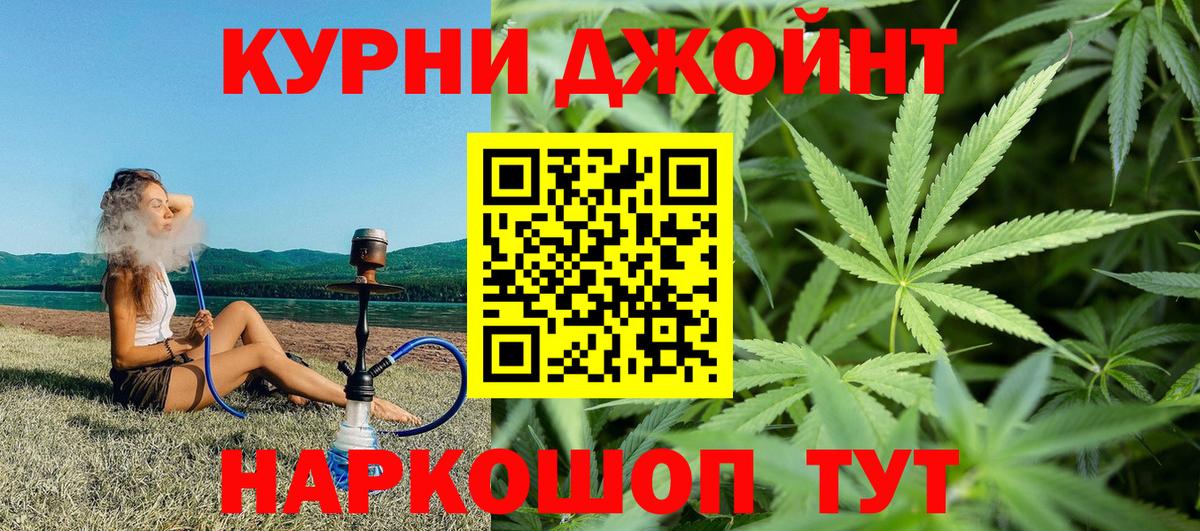 Бошки Шишки семена Буйнакск